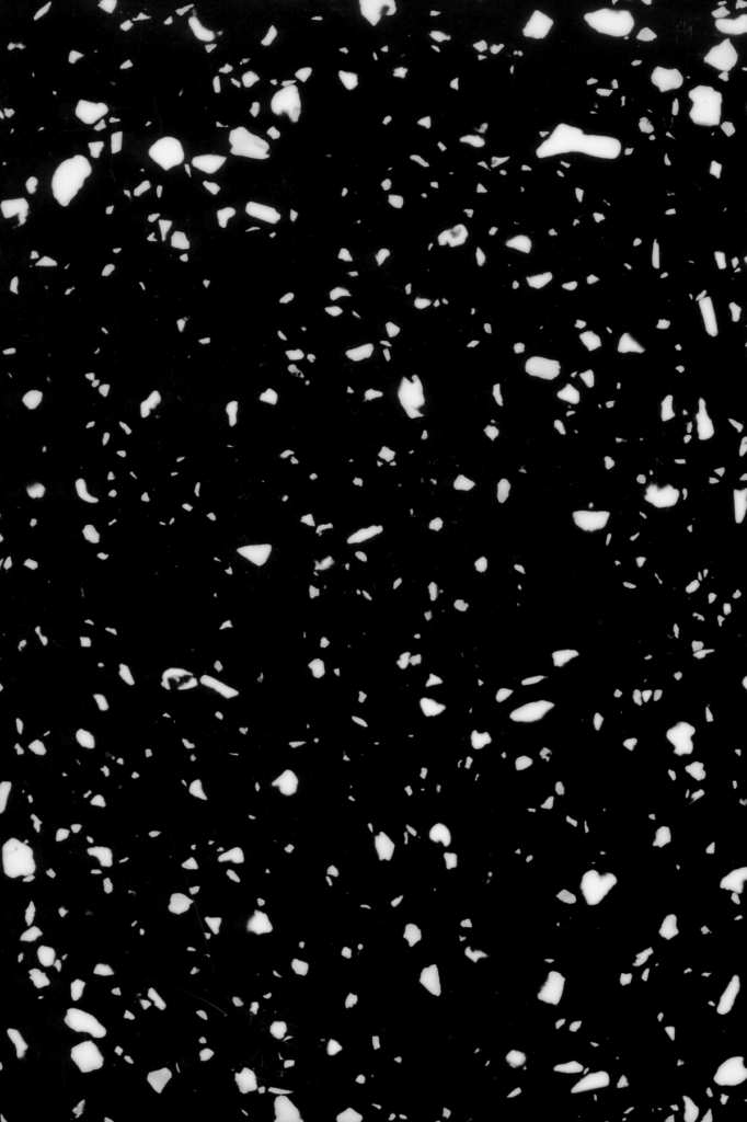 9257 – Snowfall