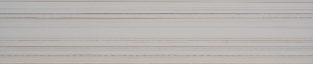 N 546 White Maple